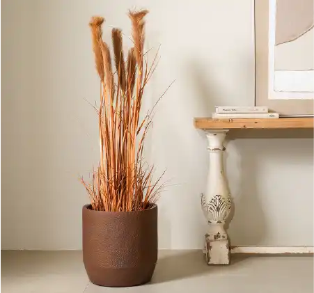 Flowers and plants